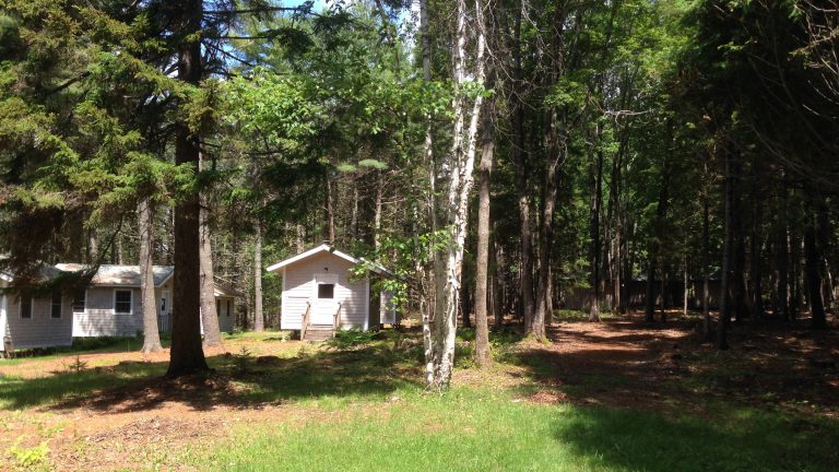 Small building in the trees