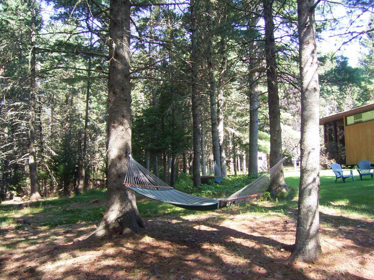 Hammock on property